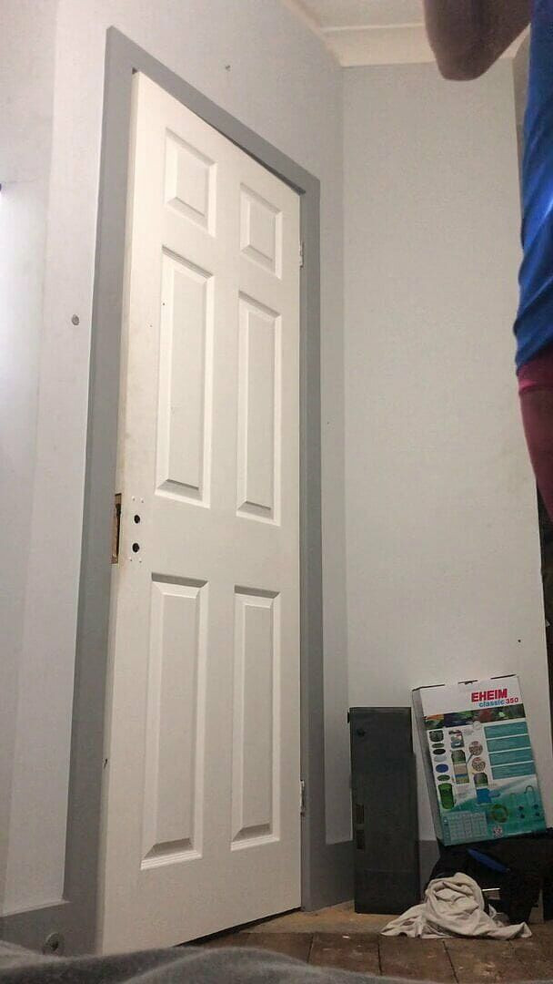 Sissysam: Kadın kılıklı Sam 3