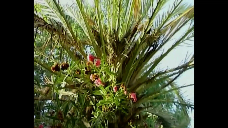 Anal lover: Bu anal pozisyon hayatımı değiştirdi!