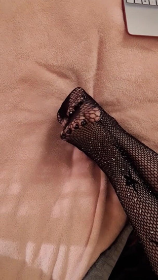 Gh0st781: Piggies in the net and a kitty cameo
