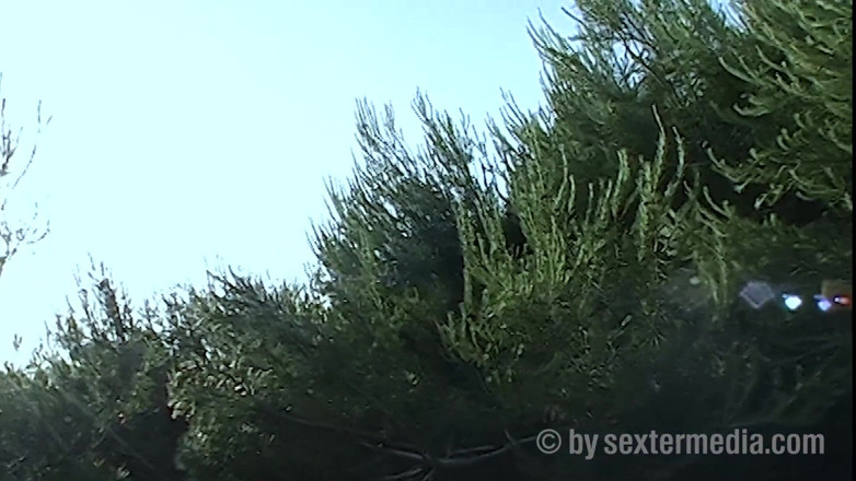 Sextermedia by Pete: Brünette brünette schlampe reitet dildo im freien, bevor sie gefickt...