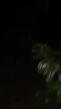 YoungEnglishBbw BBC Nata4sex în aer liber nud hardcore futând nonestop stropind la ejaculare