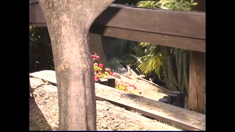 Bewitched!: Lexxi ve Tiffany: Yüce Bedenler İçin Sıcak Safi Duygular