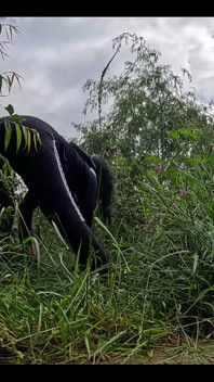 Menunggu Tukang Kebun Kacak