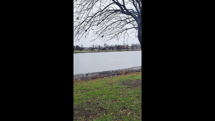 UrethralSound: Rychlé šukání kapesní kundičky ve tvaru panny, zatímco penis kolík je...