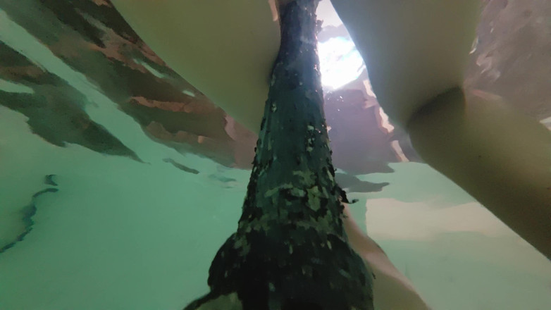 Jay_kate: Masturbation risquée dans la piscine