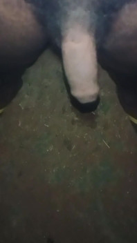 Akka Thambi Videos