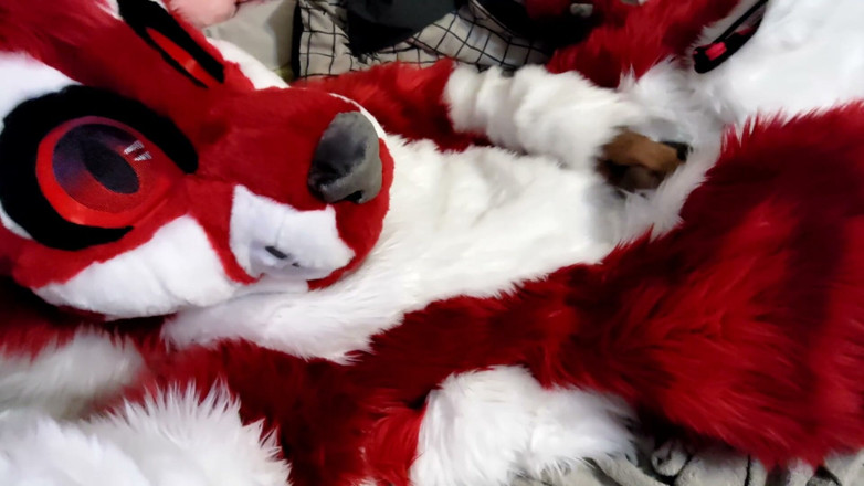 PawgrammerSocks: Jerking off and Showing Footpaws in Full-body Fursuit