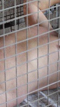 In the Cage He Gets Something From Me