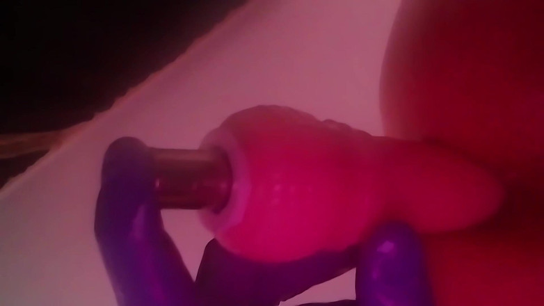 Gloriosa: Rêves humides