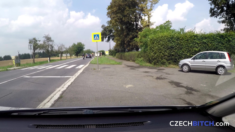 Czech Bitch: Chó cái Séc 50: thẳng lên một lỗ