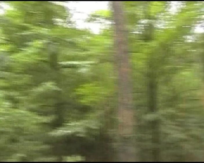 Deutsche Madchen: İki sevimli Alman kız açık havada seansta birlikte oynuyor