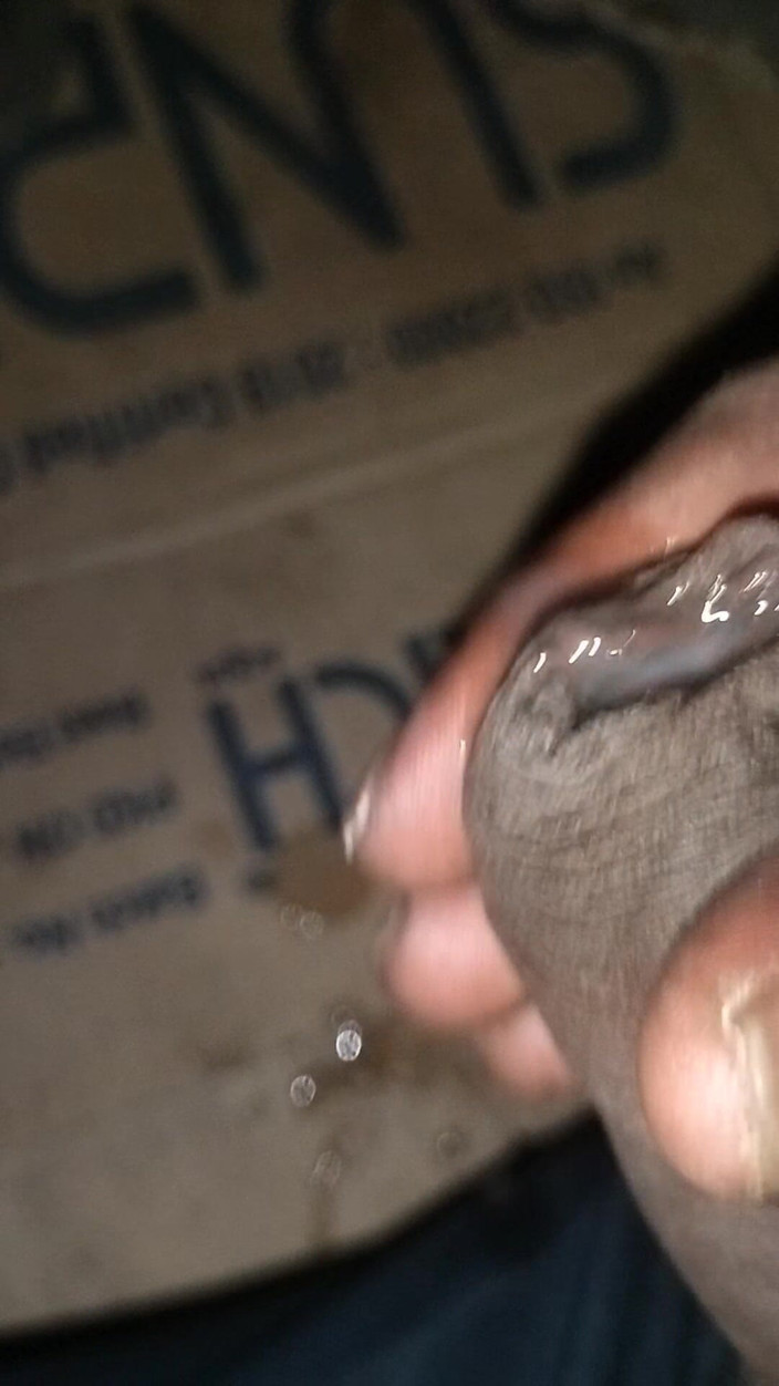 FrozenOpenair8: Bm Brilliant