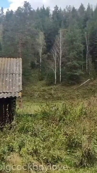 Una Vergine Di Campagna Dal Cazzo Grosso Assaggiava Il Cazzo Coperto Di Sperma Di Uno Sconosciuto.