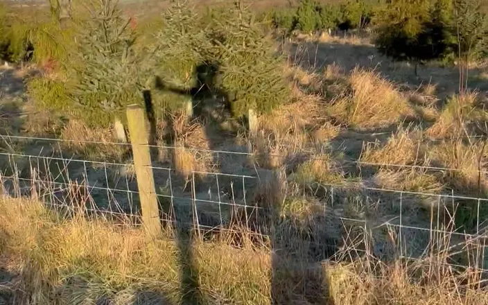 J3rm41n3: Naked Hike. Clothes Abandoned. -2 Celsius