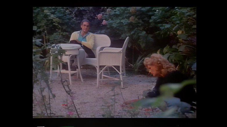 Vintage Megastore Full hd: La Furia Dei Corpi Caldi