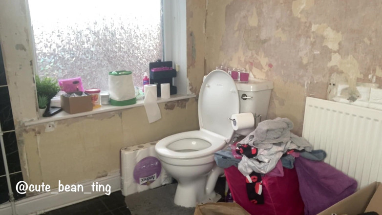 Alice Bean: Les toilettes, voyeur