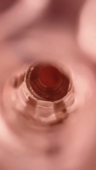 第一人称视角 Fleshlight 操逼