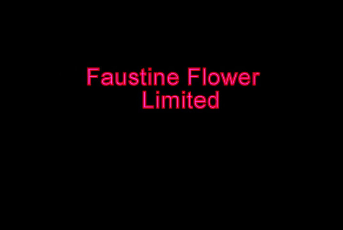 Faustine: Travestit sexy Faustine în rochie roșie, ciorapi cu tocuri înalte.