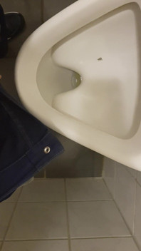 Chubby at Urinal From Work