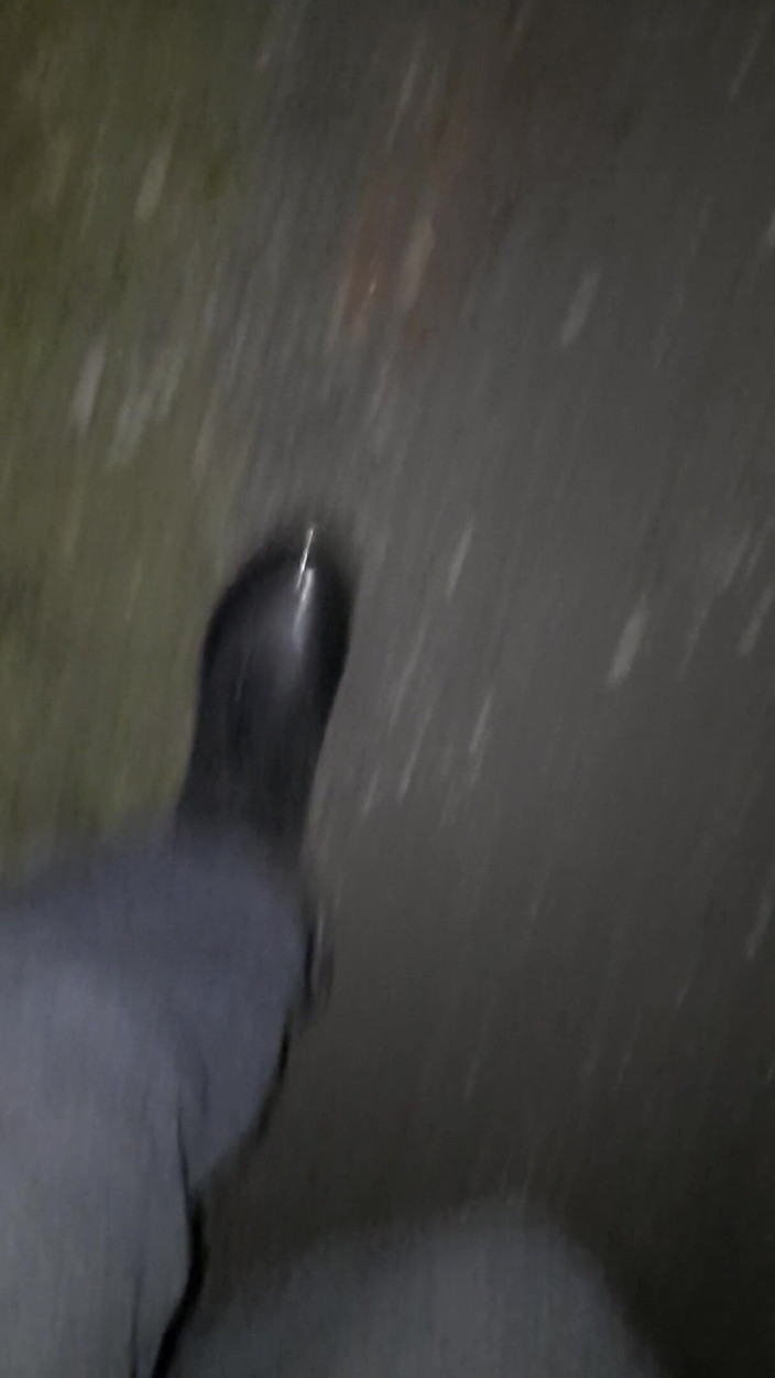SinDee: Rubberboots walking