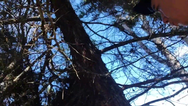 Icyhot707: Latino si masturba in un parco.