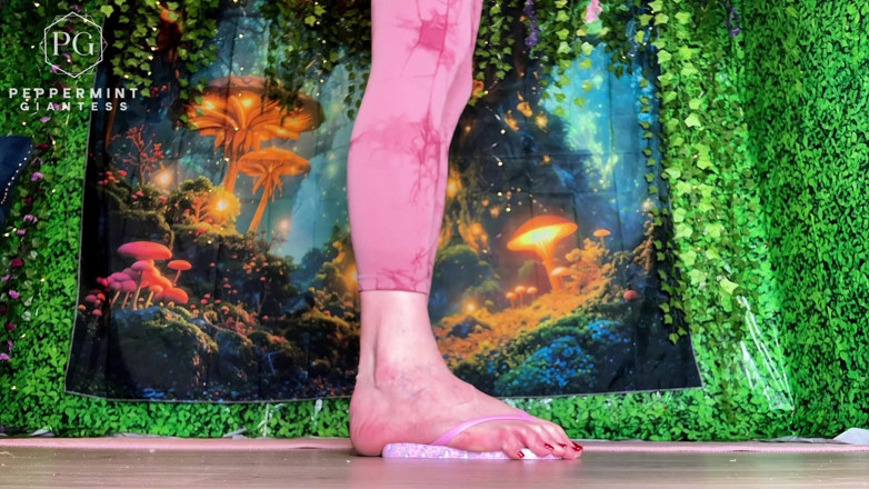 Peppermint Giantess: Размер 16 EU 50 ступни амазонки унижают ваши крошечные шлепанцы жалкие EU 33 нас W2 M0
