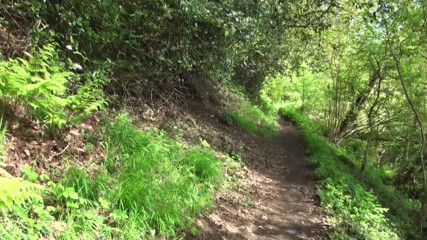 Dirty Doctors Clips: O plimbare în pădure și timp de joacă goală