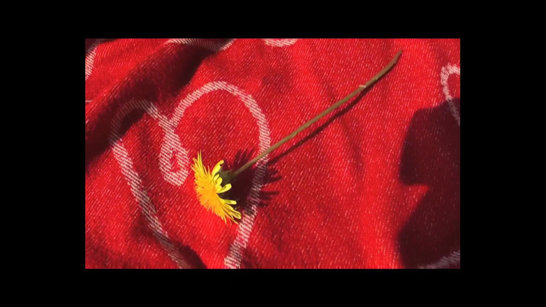 Out Sexxx: Cuộc phiêu lưu tình dục ngoài trời XXX - (tập # 01)