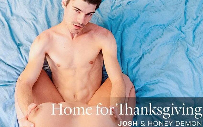 Virtual Real Passion: 感恩节的家