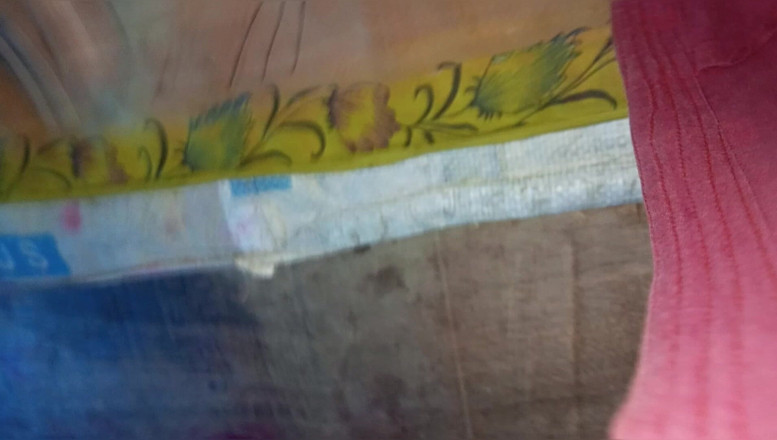 YangZi 69: 阴道的快感不在于操，而在于舔它，我每天都舔阴道。