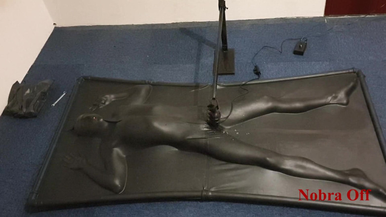 NL Milking: Vacbed y Nobra con temporizador