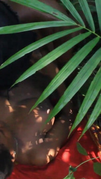 African Lovers in Bush Fucking
