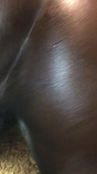 Black Booty Wants BBC