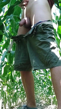 Campo di grano