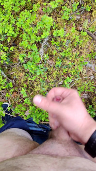 Horny in Forest