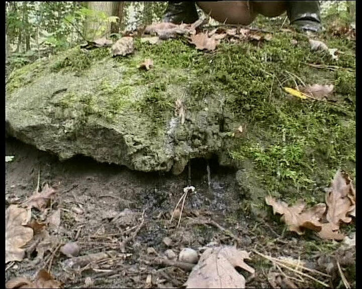 German Fuck Movie: Alman Kapılarının Arkasında Özenle Siktir Edilir - Tam Film