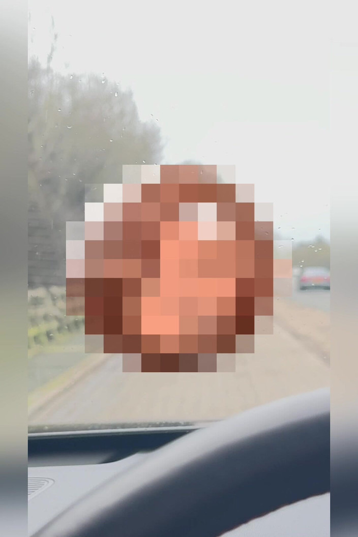 Kadu: Ich zeige meinen riesigen schwanz für den lkw-fahrer