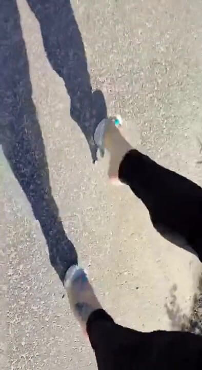BadCat: Sexy legs walking in high heels