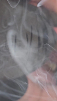 Gordas fumando e grandes mamas naturais