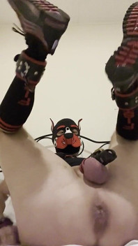 重拳交之夜后，张大嘴巴的同性恋小狗屁股