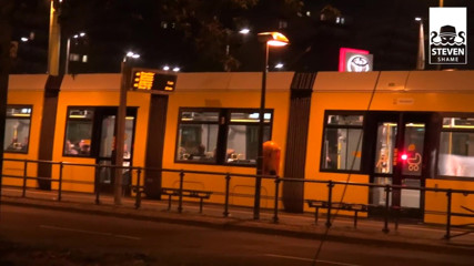 Steven Shame: Skinny Milf Lady Paris banged at main road in Berlin (outdoor)