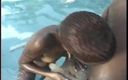 CBD Media: Yüzme havuzunda lezbiyen dörtlü seks