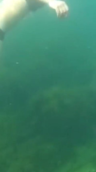 Did You Already See Y Swimming Video?