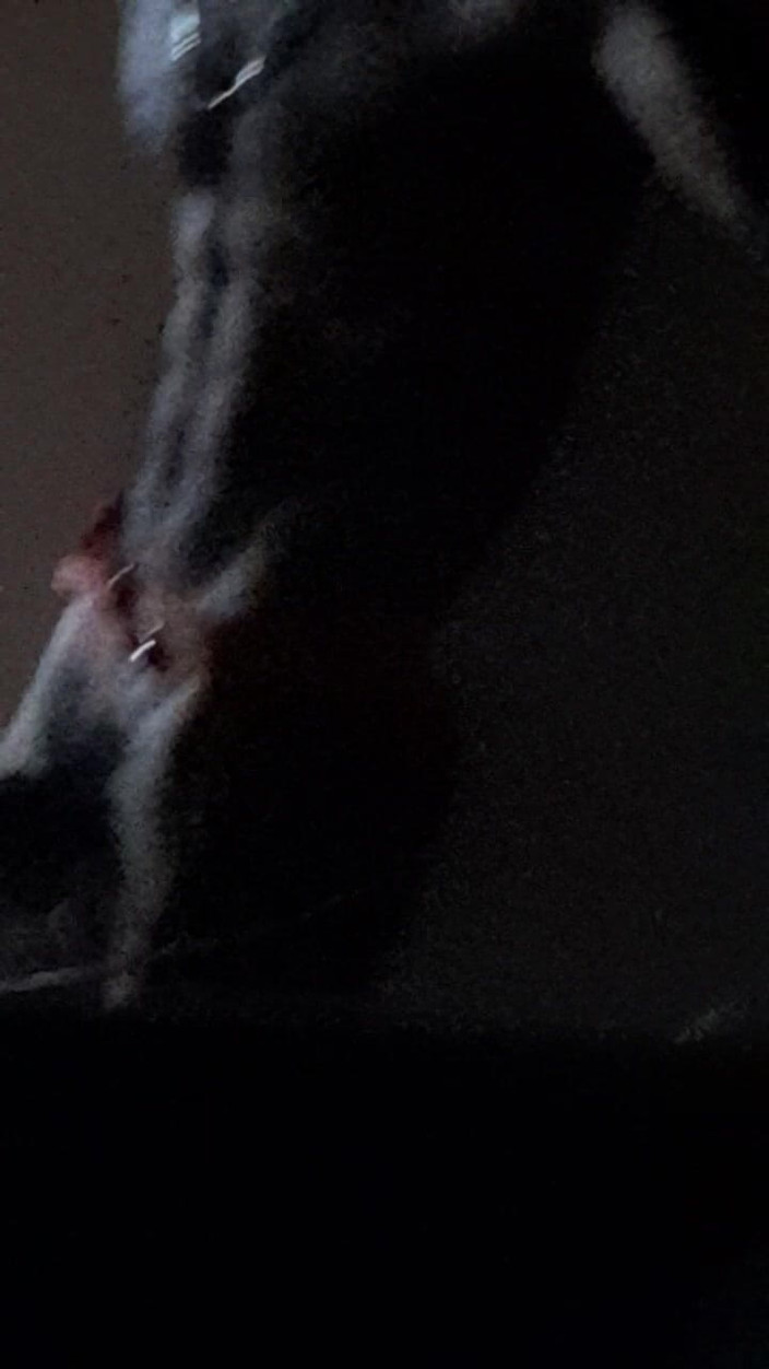 Dorian DomTop: Excitata De crăciun Deer a început să se masturbeze