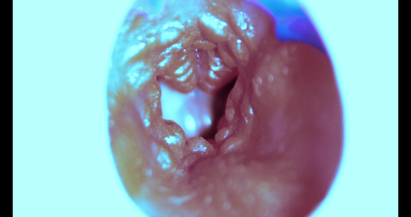 SEXY_GUYBEST: 내 보지를 빨아주는 방법 카메라 내부!