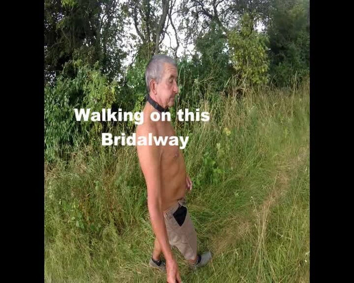 Andy: Juego encantador es caminar