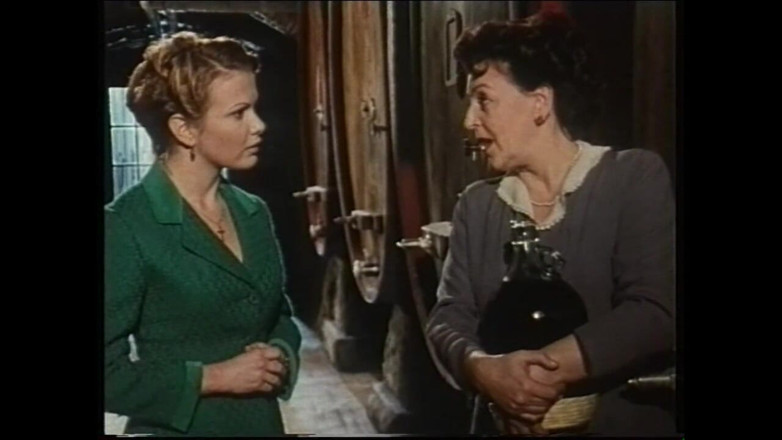 Vintage megastore: Secret Vintage Affairs
