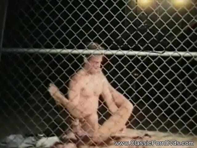 Classic Porn DVDs: สาวผมทองโดนกระแทกแรงจากด้านหลัง