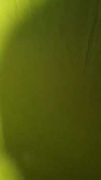 Indian Tamil Stepdaughter Seduces and Rides Stepfather