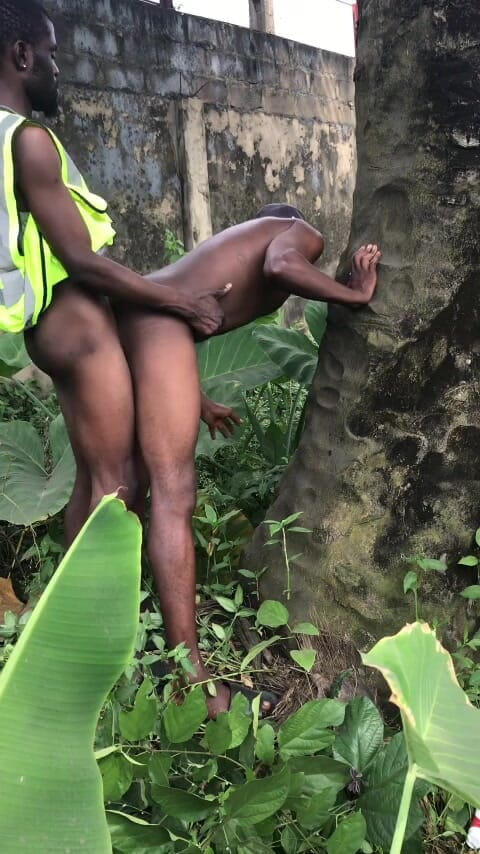 Sexydaddy: ヤシの木の後ろでの屋外セックスは農場です